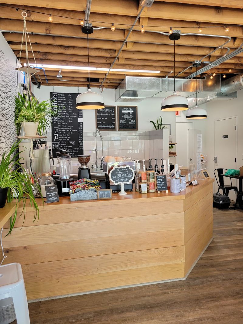 The Coffee Bar Up Front