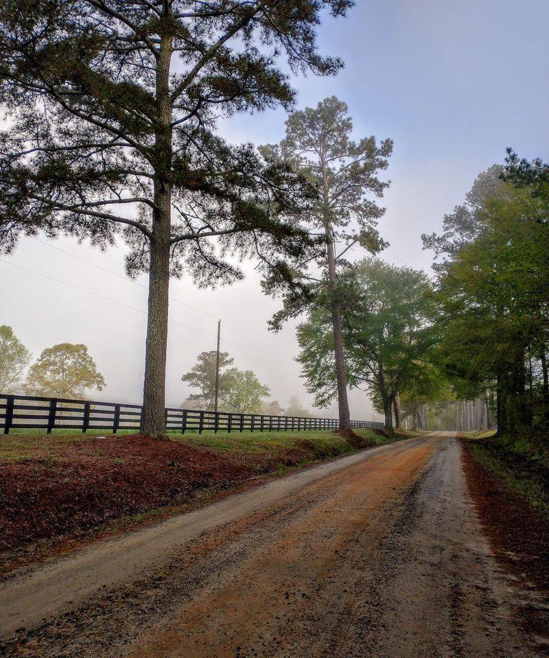 Twenty Miles Of Trails Replace Most Sidewalk Traffic