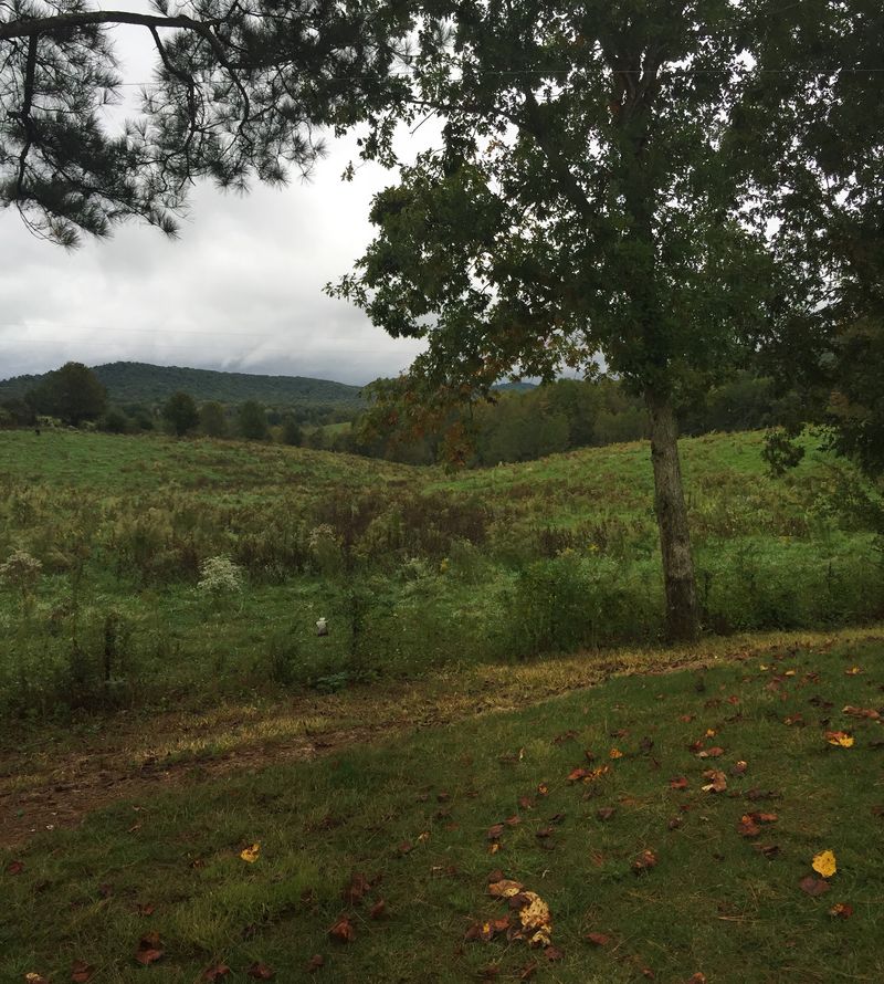 Eleven Miles Of Trails At The Nature Preserve
