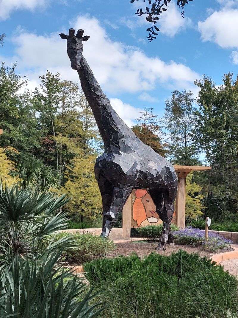 Jacksonville Zoo And Gardens, Jacksonville