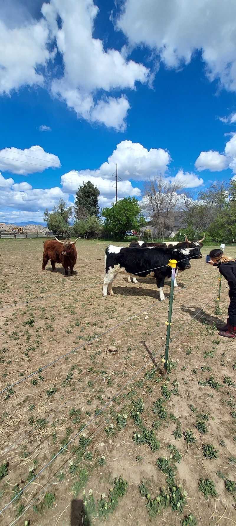 Planning Your Visit to the Farm