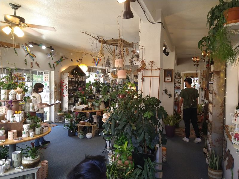 The Houseplant Area Goes Well Beyond Outdoor Gardening