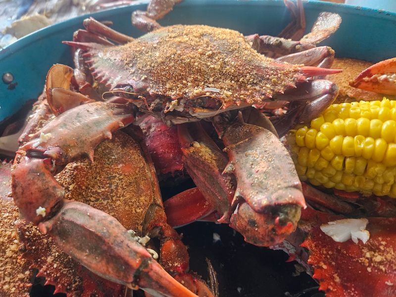 The Market Coolers and Taking Crab Home