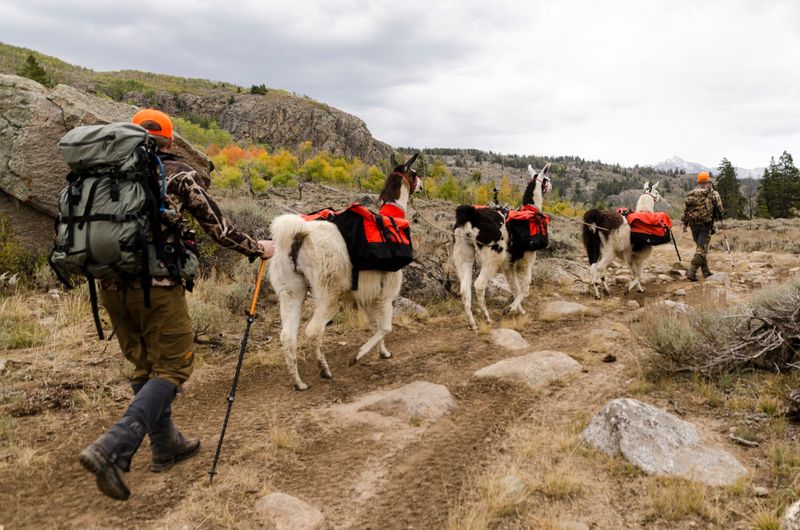 Sixteen Hundred Miles Of Trail