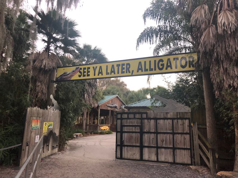 Barbecue, Slushies And Gift Shop Finds