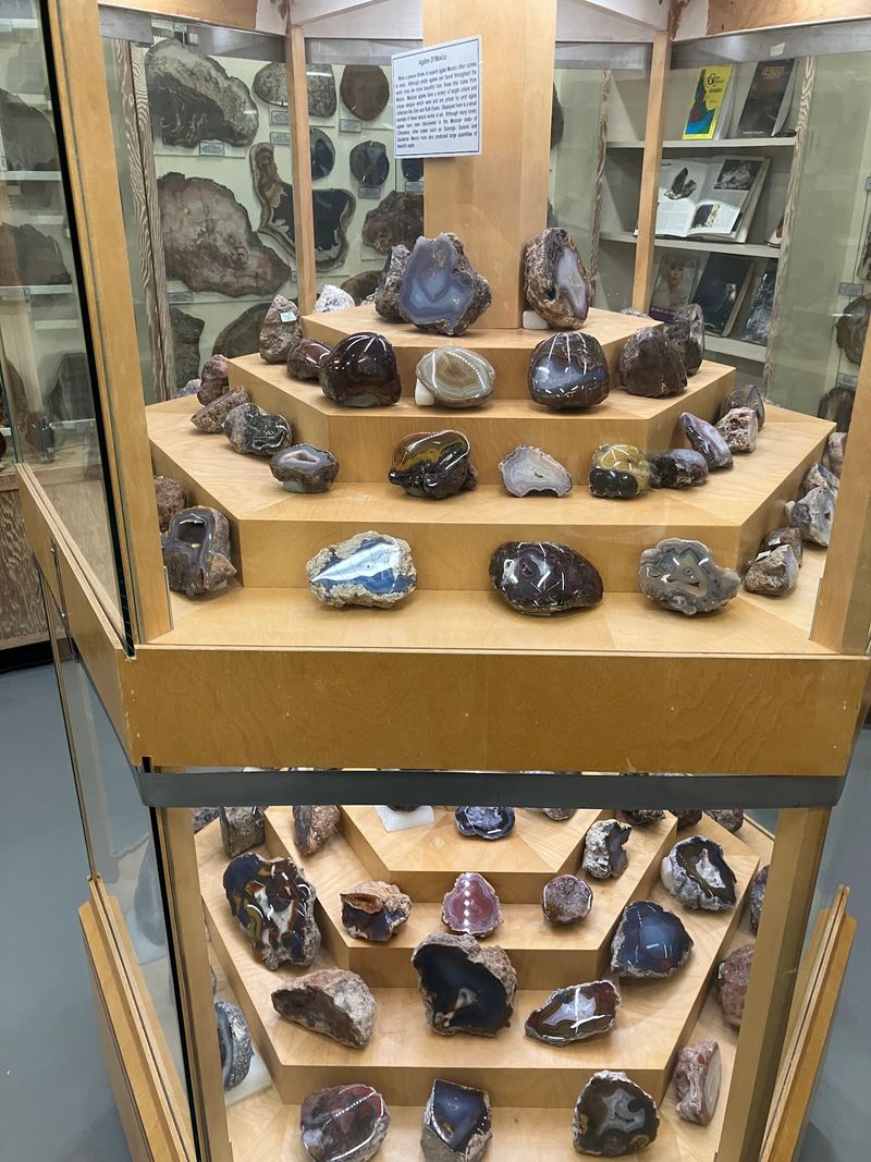 This Free Idaho Museum Is Packed With Fossils, Gemstones And Touch Zones Kids Never Forget - Decor Hint Fossils And Paleontology From Ancient Idaho