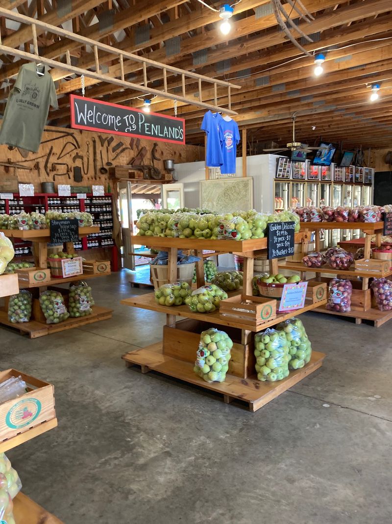 Georgia Has A Country Farm Market With Shelves Full Of Homemade Pies - Decor Hint A Family Orchard With Deep Roots