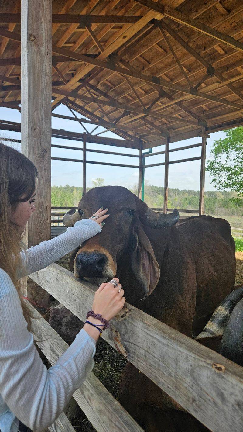 Bring Bananas Or Veggies For A Hands-On Feeding Experience