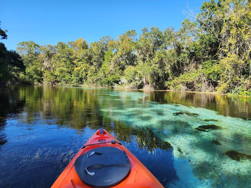 Six Florida springs you can paddle before the winter crowds show up - Decor Hint Weeki Wachee Springs State Park Kayak Rentals