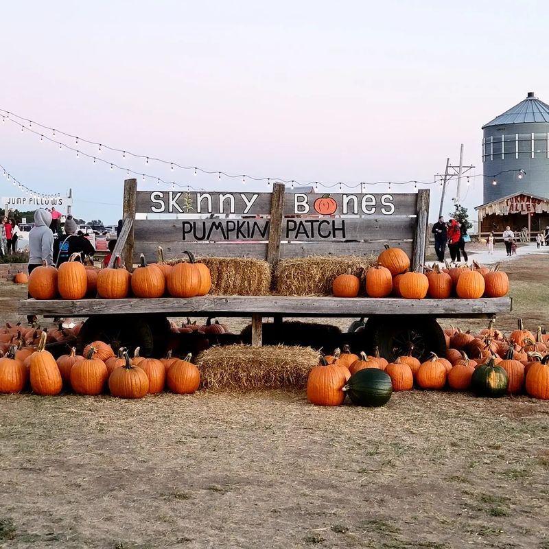 What to Pack for a Fall Afternoon on the Farm