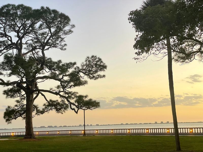 Why Florida's Bayfront Campus Earns a Sunset Visit