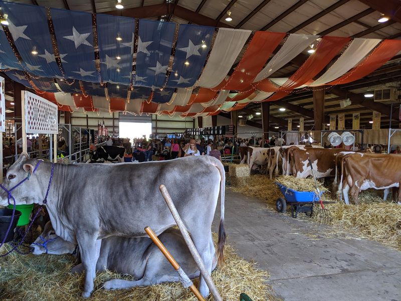 Farm Exhibits Keep Its Agricultural Roots Strong