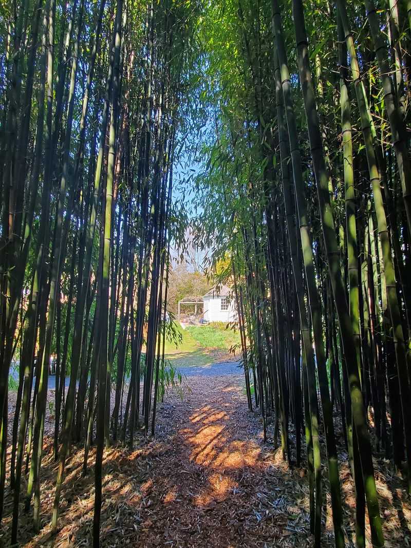 This Rhode Island Estate Offers A Peaceful Afternoon Of Gardens, History, And Bay Views - Decor Hint Garden Rooms And Bamboo Secrets