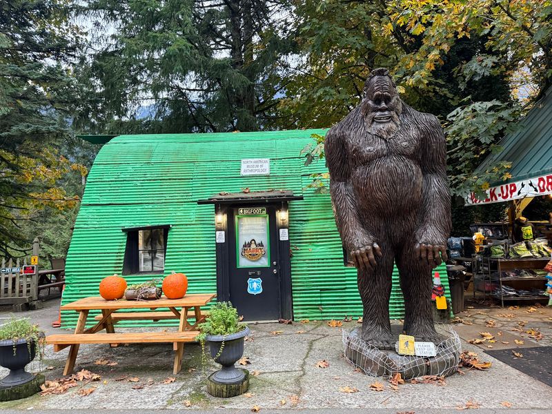 Espresso Chalet Bigfoot, Gold Bar
