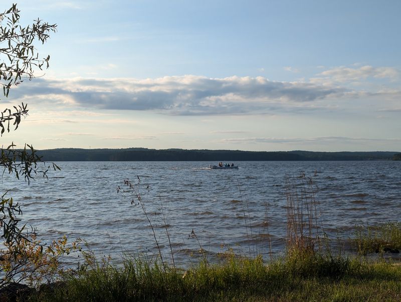 Enjoy The Beaches And Trails Without Turning Every Sighting Into A Scare