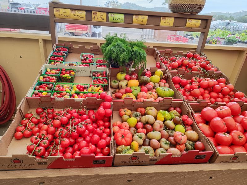 8 California Farm Stands Worth A September Road Trip - Decor Hint Underwood Family Farms, Moorpark