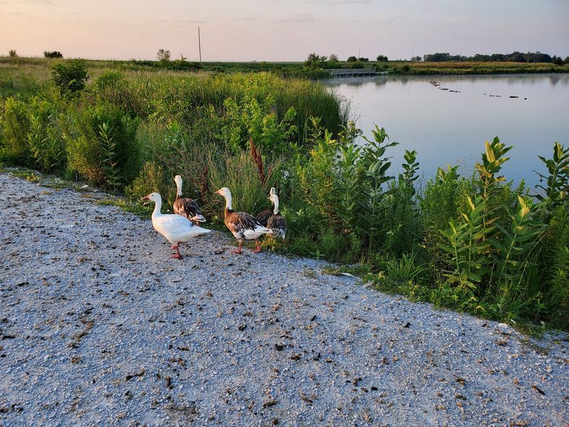 Lake Wanahoo NRD Recreation Area