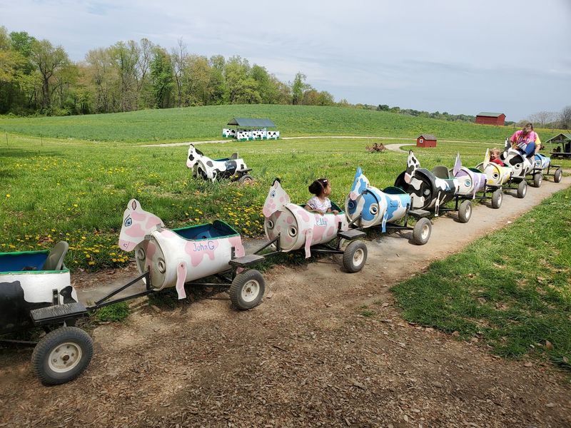 Trains, Hayrides, And A Cow On Wheels