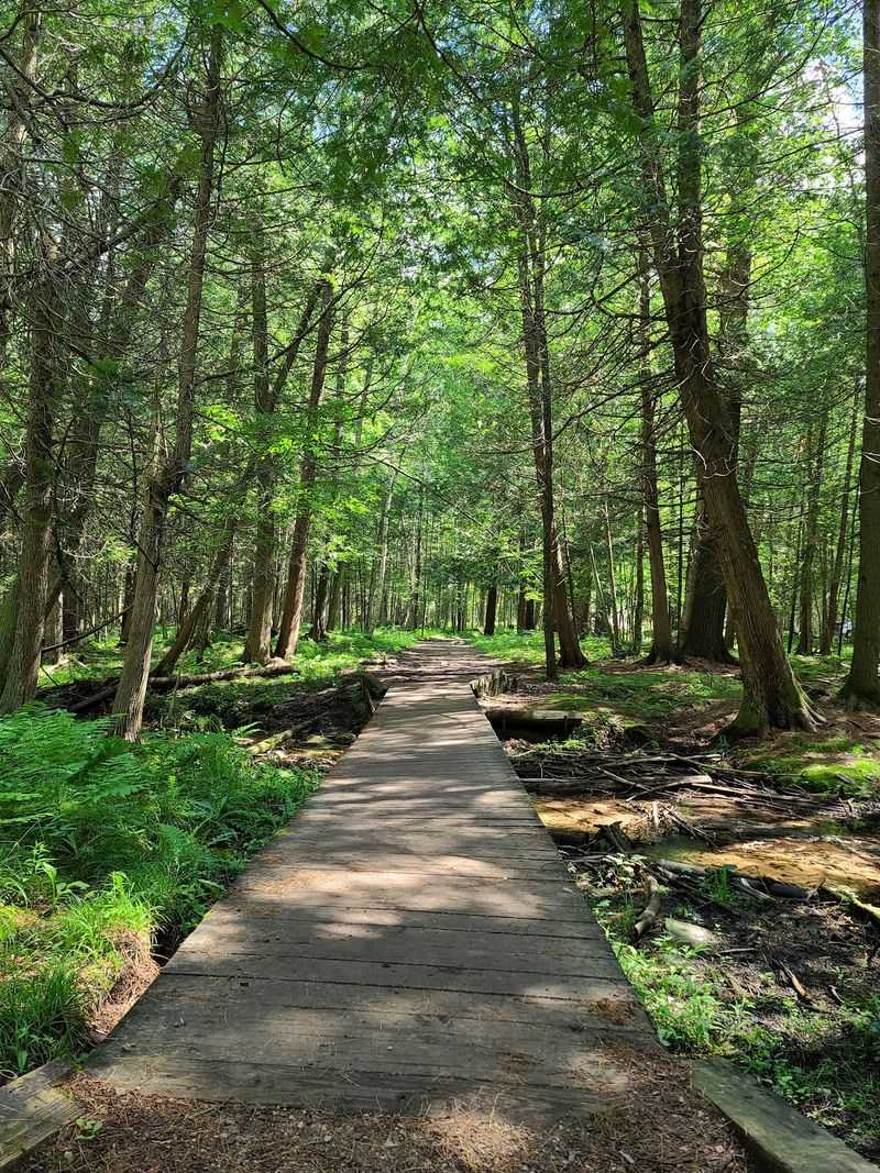 Dickinson County, Upper Peninsula