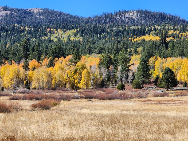 This Lesser-Known California Mountain Town Explodes With Fall Color Before Most People Expect - Decor Hint Hope Valley Is An Easy Leaf-Peeping Detour