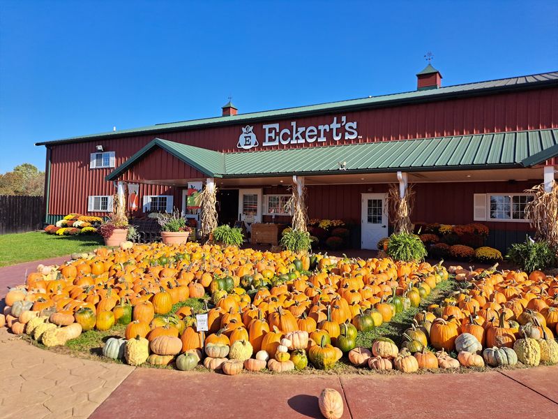 Eckert's Orchard
