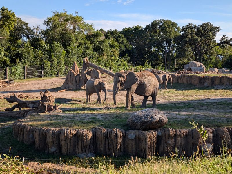 Nebraska Is Home To A Zoo Where A Glass Tunnel Lets Sharks Swim Right Over Your Head - Decor Hint Elephants, Giraffes, and the Big Outdoor Habitats