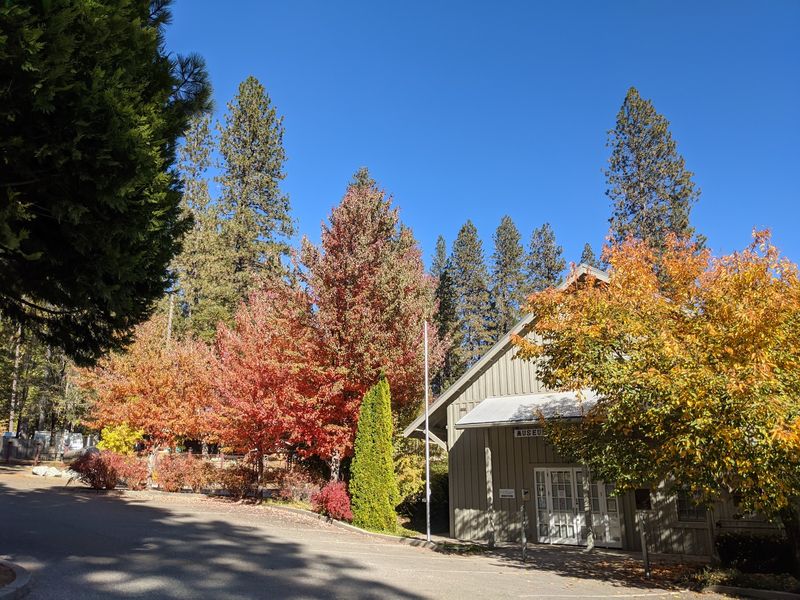 Nevada City, Nevada County
