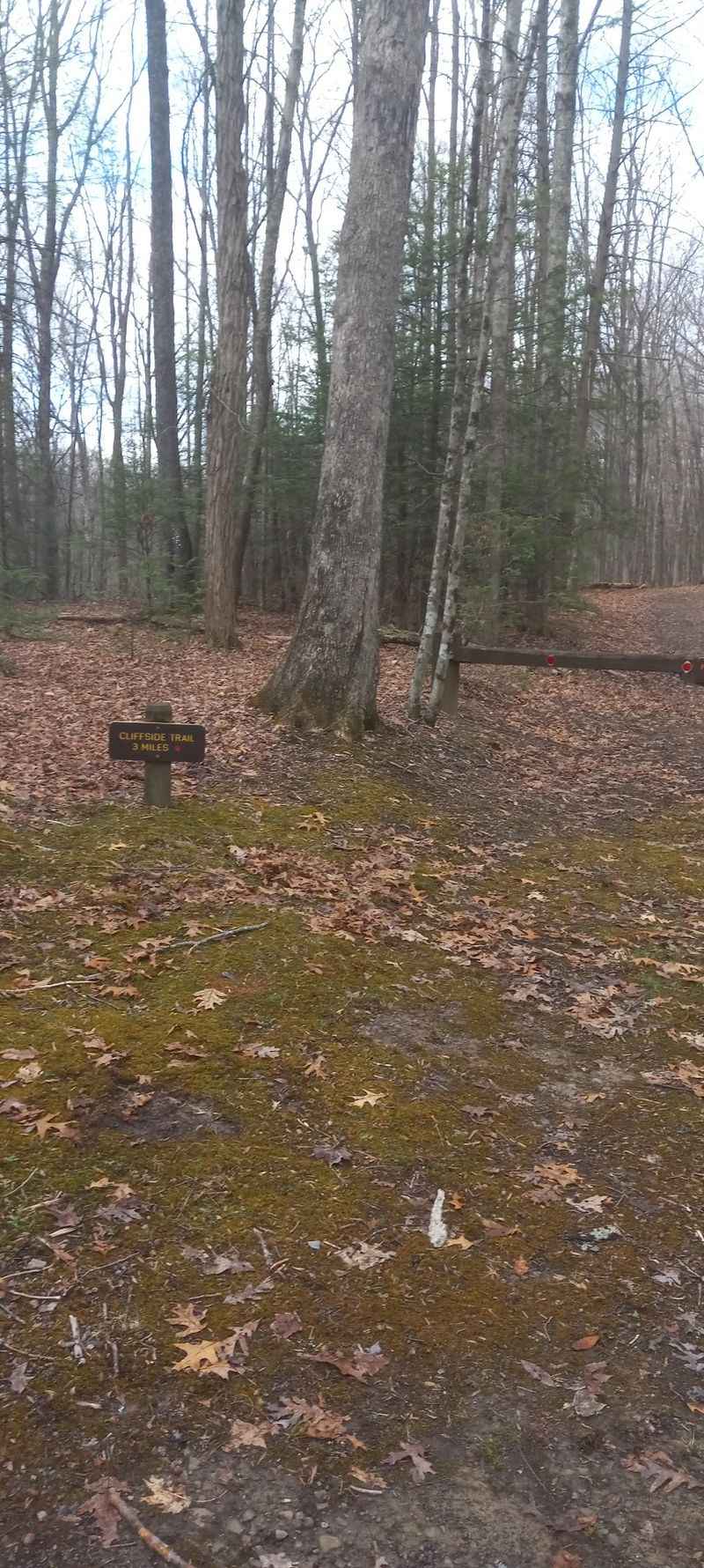 10 Must-Try West Virginia Hikes, Ranked From Gentle To Challenging - Decor Hint Cliffside Trail, Mullens