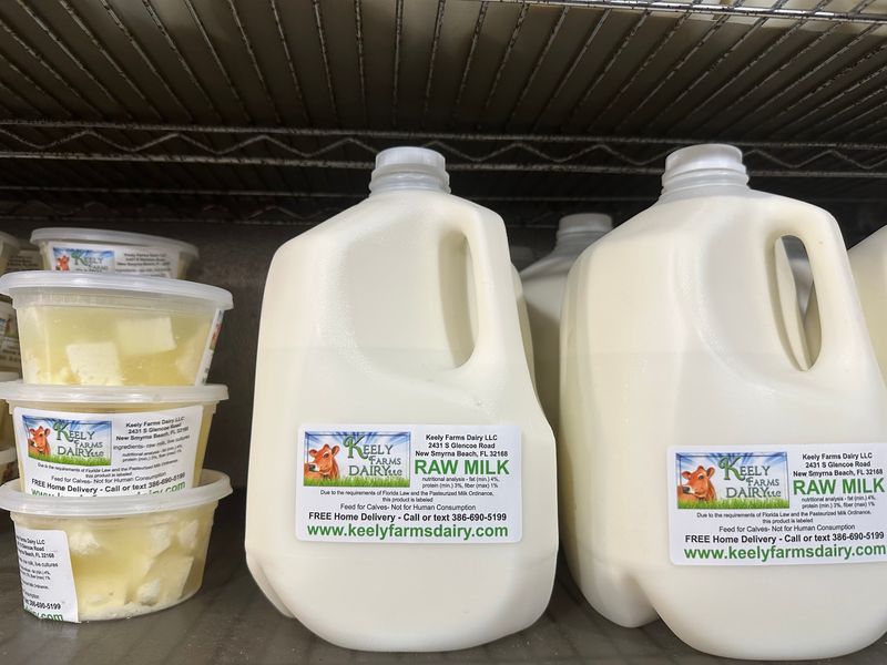 Florida's Grass-Grazed Dairy Farm In New Smyrna Beach Sells Its Own Bottled Milk And Farm Cheese On Site - Decor Hint Glass Bottles With a Cream Line on Top