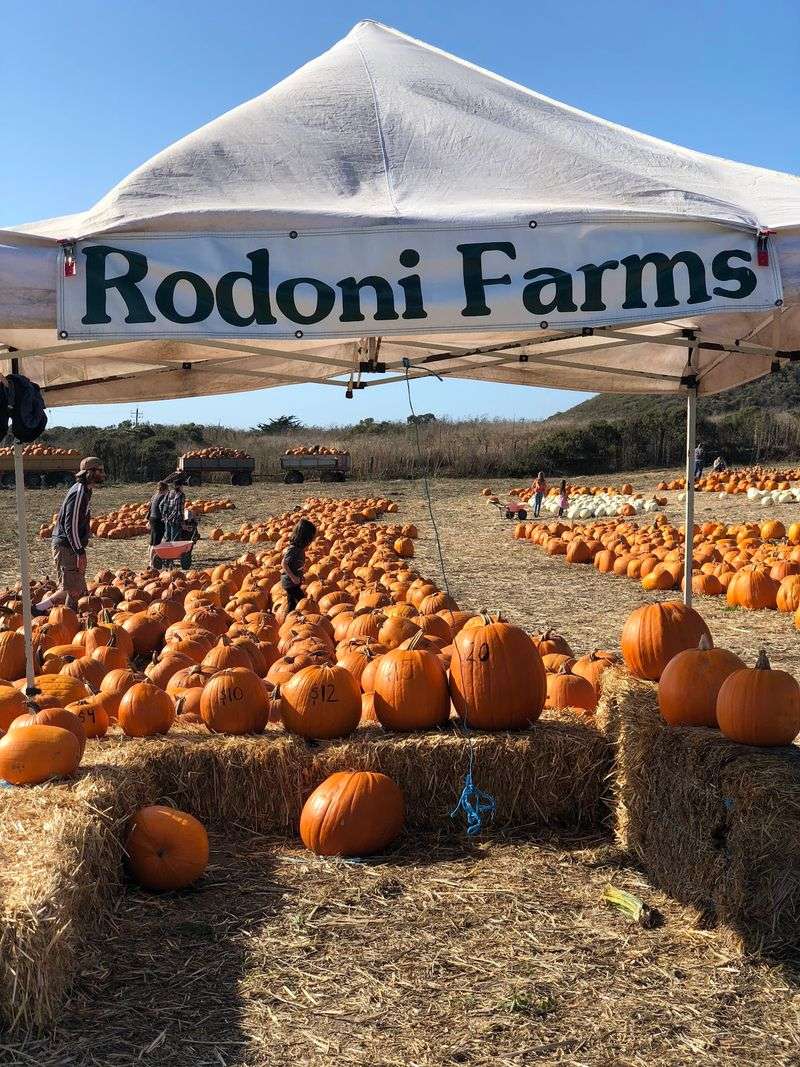Rodoni Farms, Santa Cruz