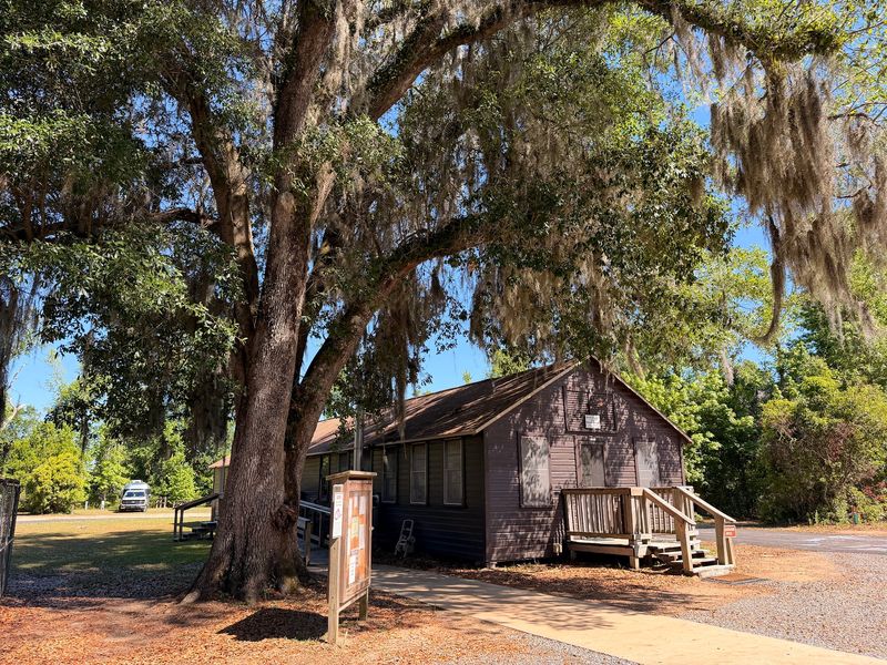 This Florida State Park Gets Zero Crowds And All The Stunning Views - Decor Hint Fossils, Bluffs, And 18-Million-Year-Old Rock