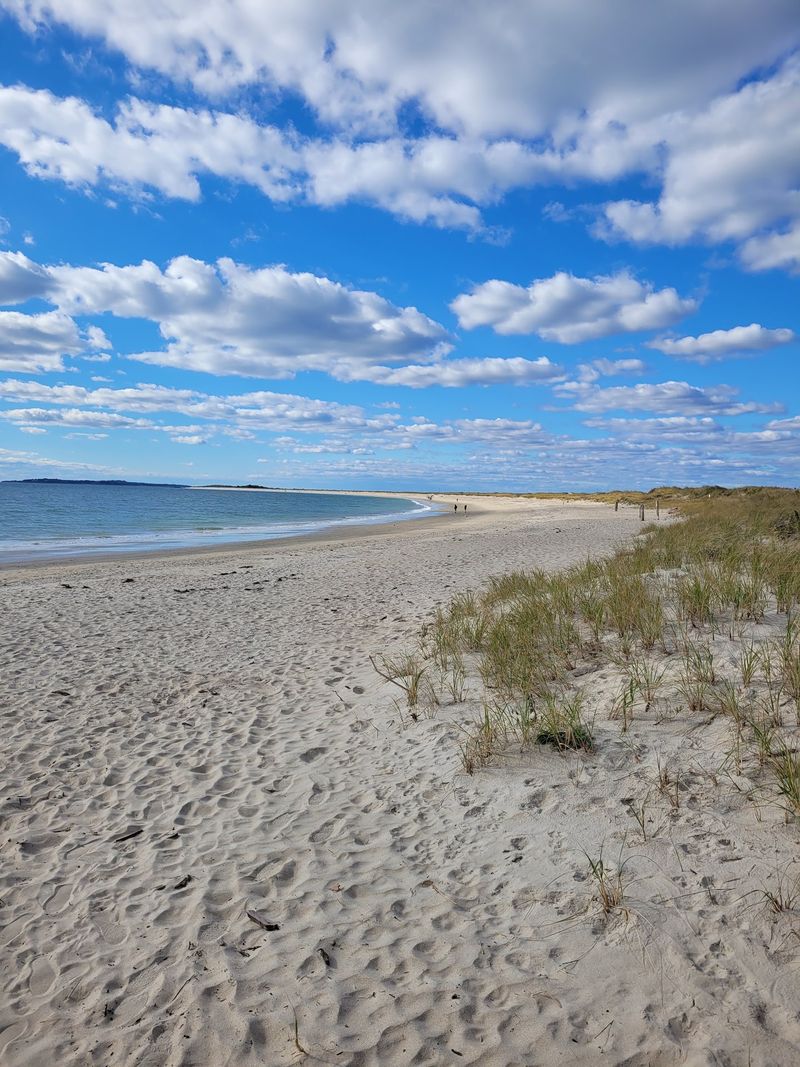 Napatree Point Conservation Area, Westerly
