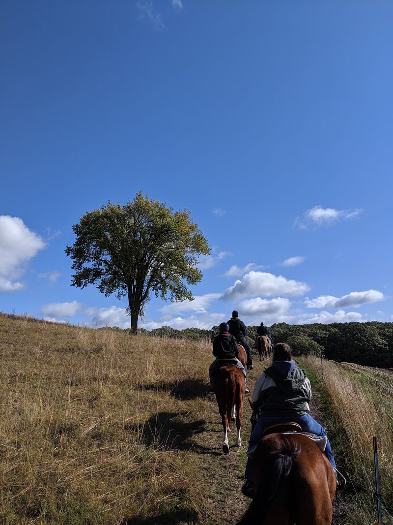 Group Events With Western Flair