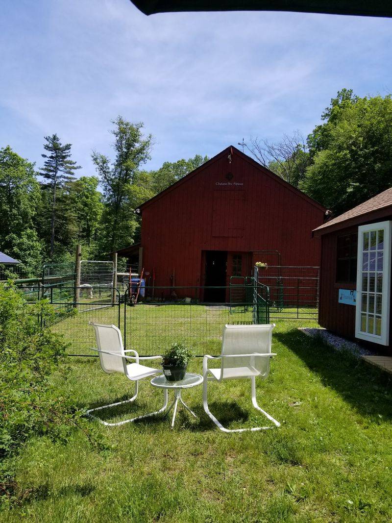 Picnic Time Can Follow The Farm Tour