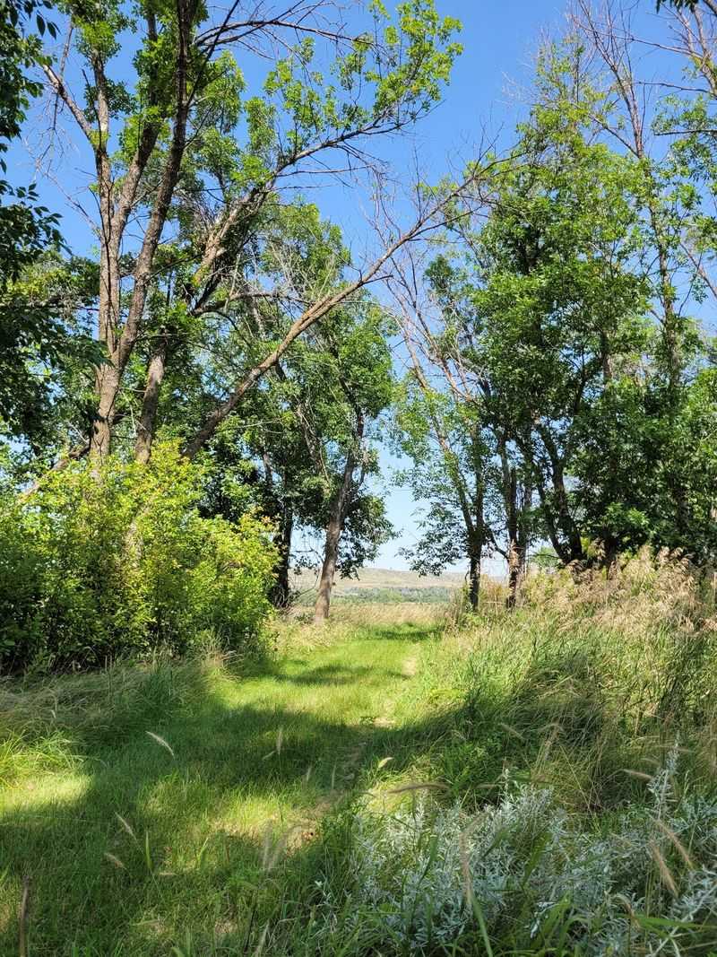 Nearly 1,000 Sandhill Prairie Acres Surround The Bison Herd At This Nebraska Preserve - Decor Hint Oak Bottoms and Trails on Foot