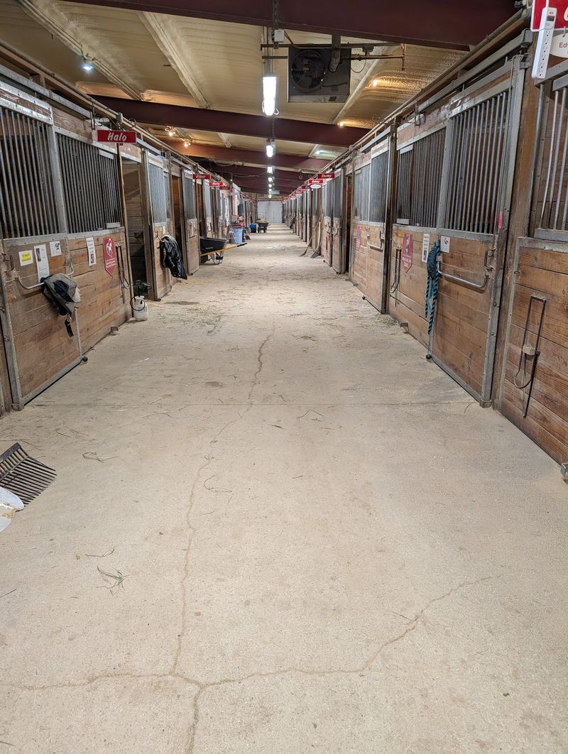 Clean Stables, Open Pasture, and a Calm Feel