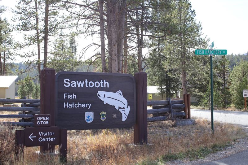 Sawtooth Hatchery - Idaho Fish and Game, Stanley, ID