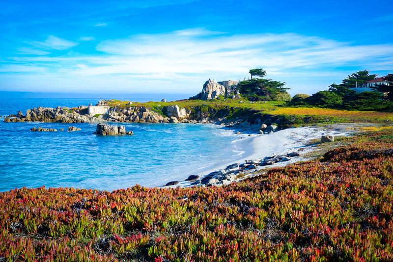 Pacific Grove