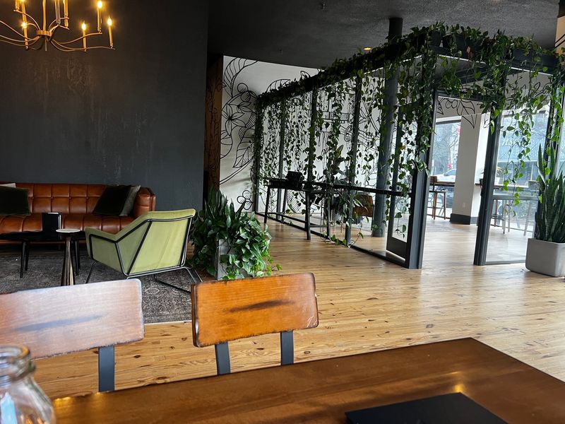 Oak & Olive, Valdosta