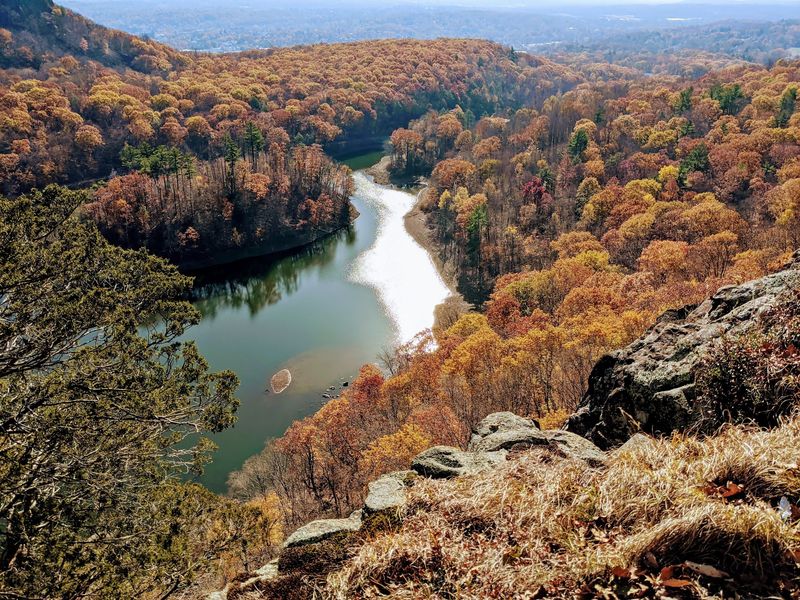 Trails Lead Through Brilliant Autumn Forest