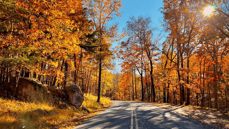 12 Dirt-Cheap Fall Day Trips In North Carolina You'Ll Want To Take This Year - Decor Hint Morrow Mountain State Park, Albemarle