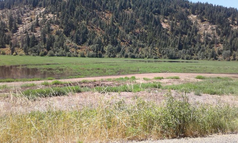 Rolling Palouse Finish Toward Plummer