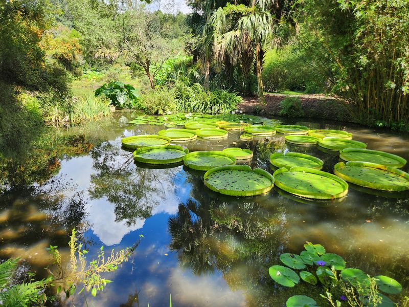 Kanapaha Botanical Gardens in North Florida