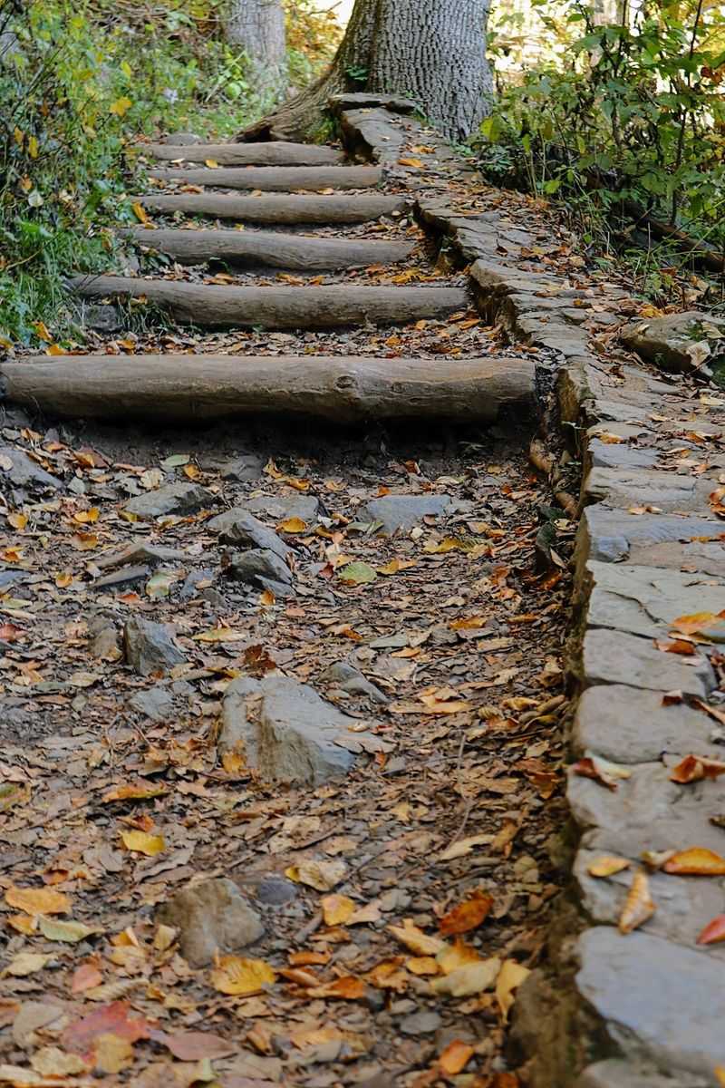 Dark Hollow Falls Trail, Stanley