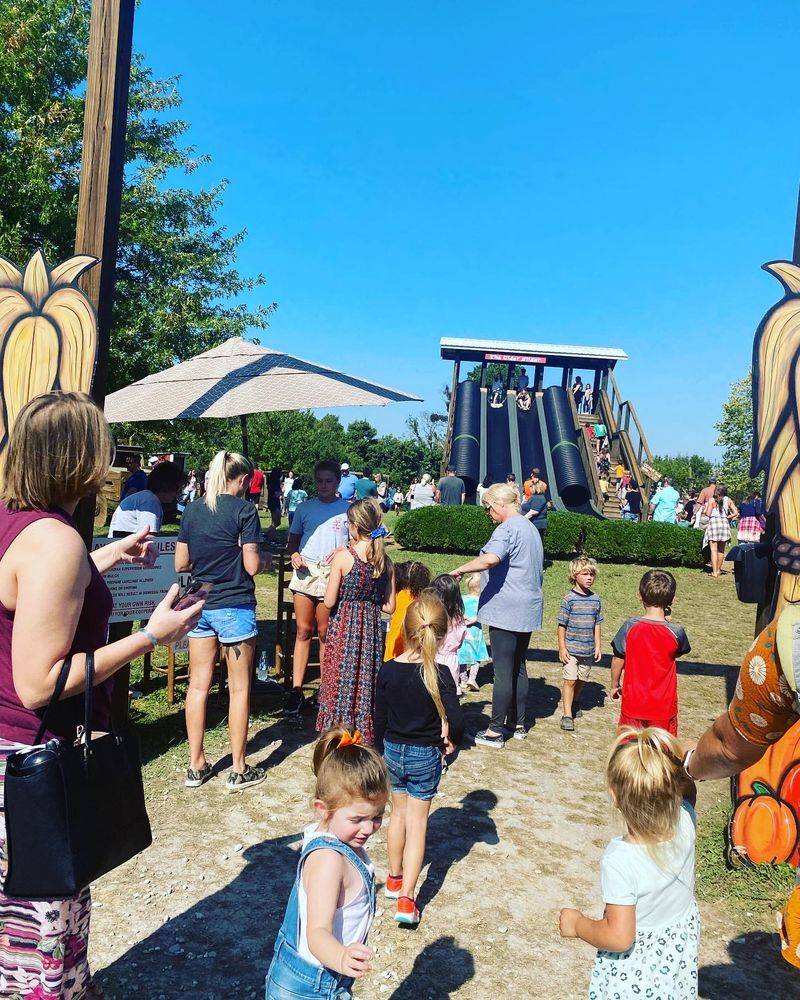 This Kentucky Farm Makes Homemade Apple Slushies And Has Animals Waiting Outside - Decor Hint Three Festivals Split Across The Season