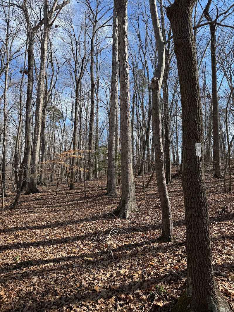 Escape Into The Backcountry For A More Remote Hike