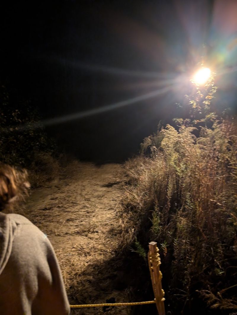 The Famous Hayride Packs 16 Horror-Movie-Style Scenes Into One Ride