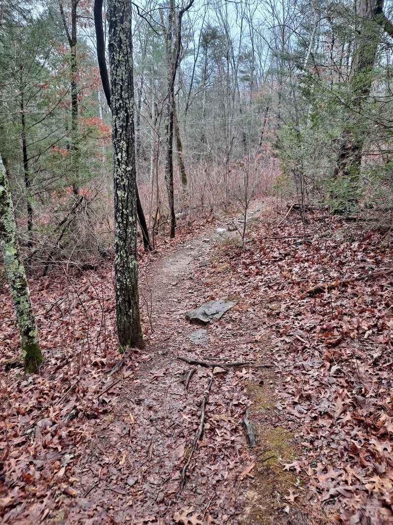 Byrd Lake Trail, Crossville