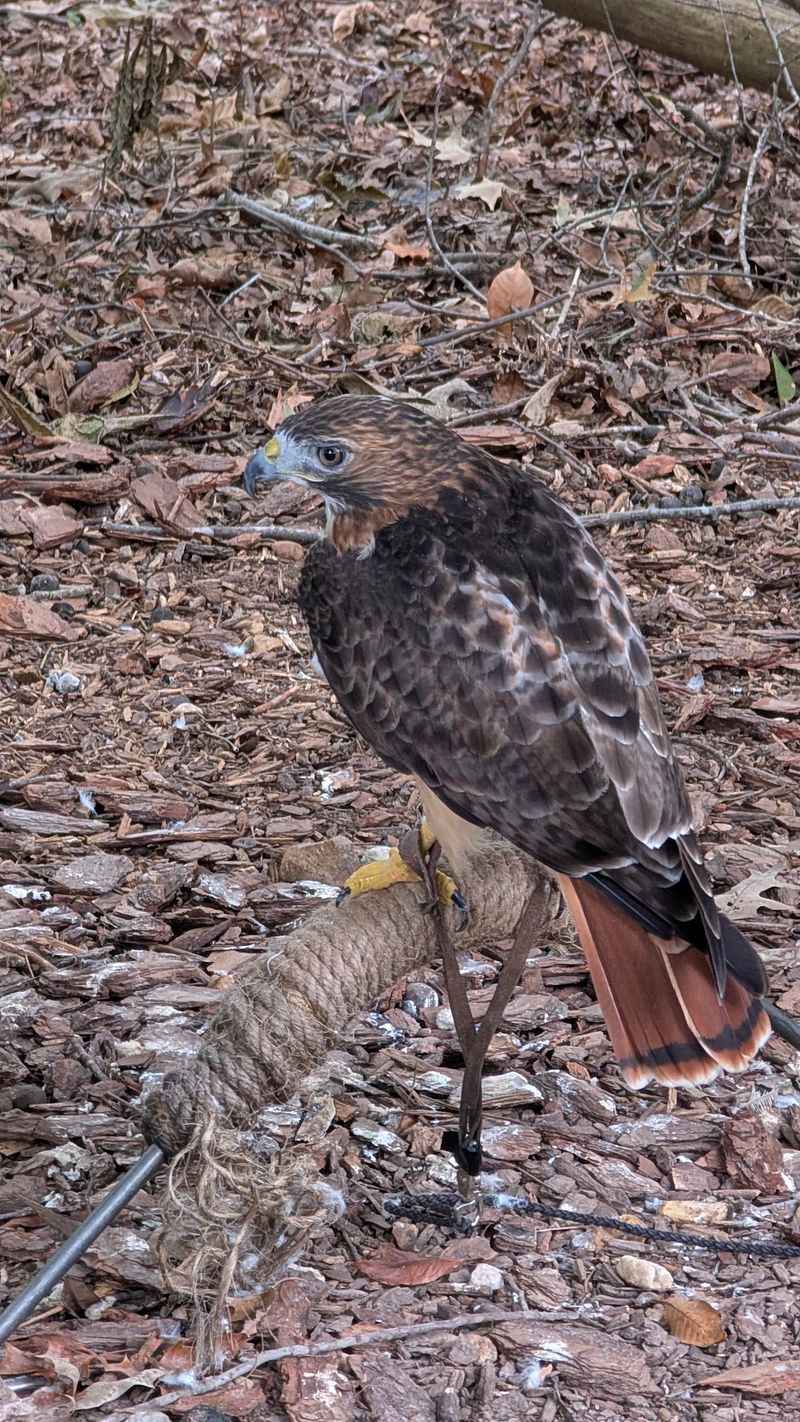 You Can Practically Walk On Water At This Kentucky Water Trail Filled With Eagles And Herons - Decor Hint Beavers, Otters, And A Honking Welcome Committee