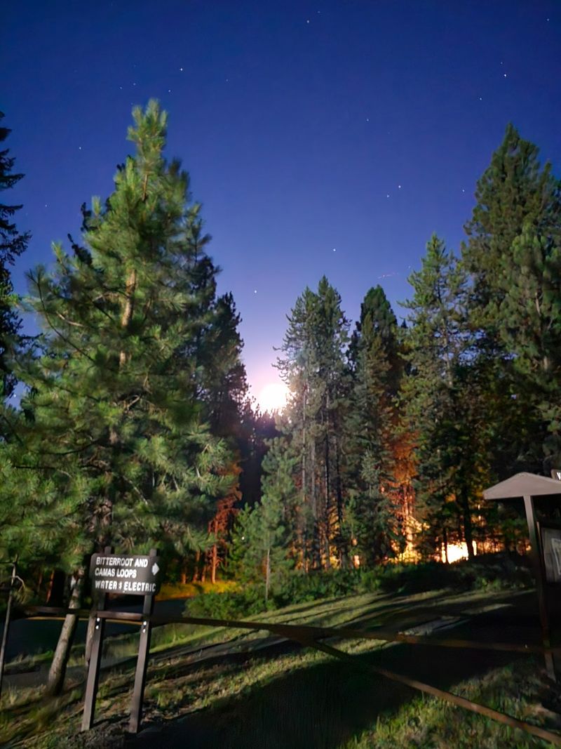 Winchester Lake's Forested Haven